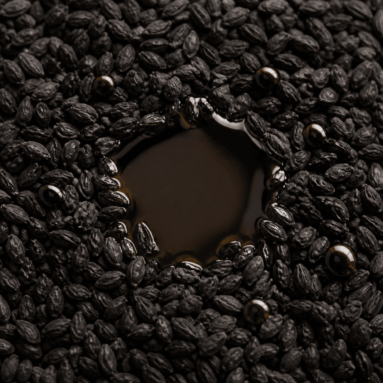 Nigella sativa seeds surrounding a pool of golden black seed oil